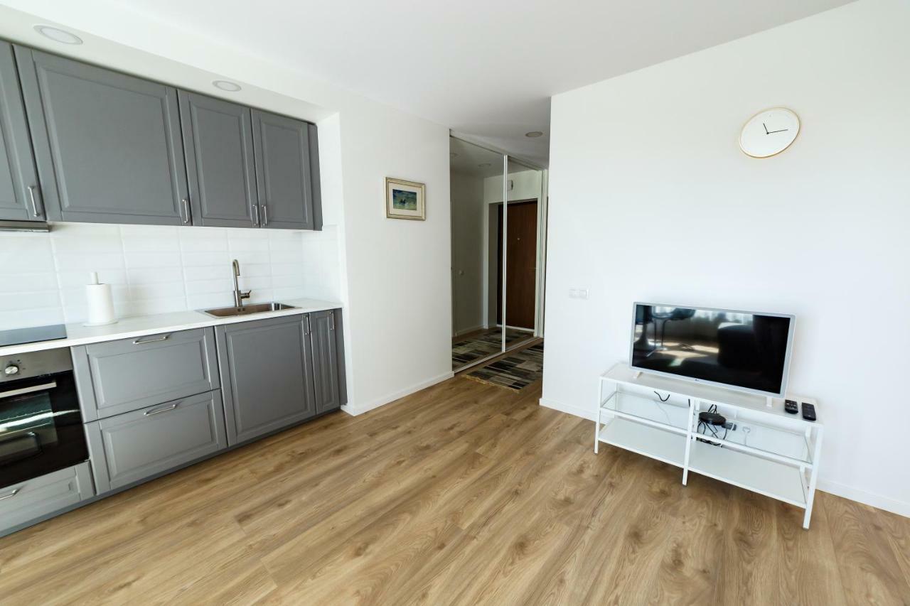 Spacious Apartment Close To The Old Town Vilnius Ngoại thất bức ảnh
